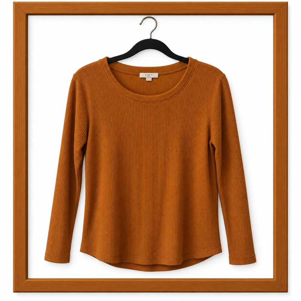 A LOFT women's top, perfect for fall, in size Medium Petite